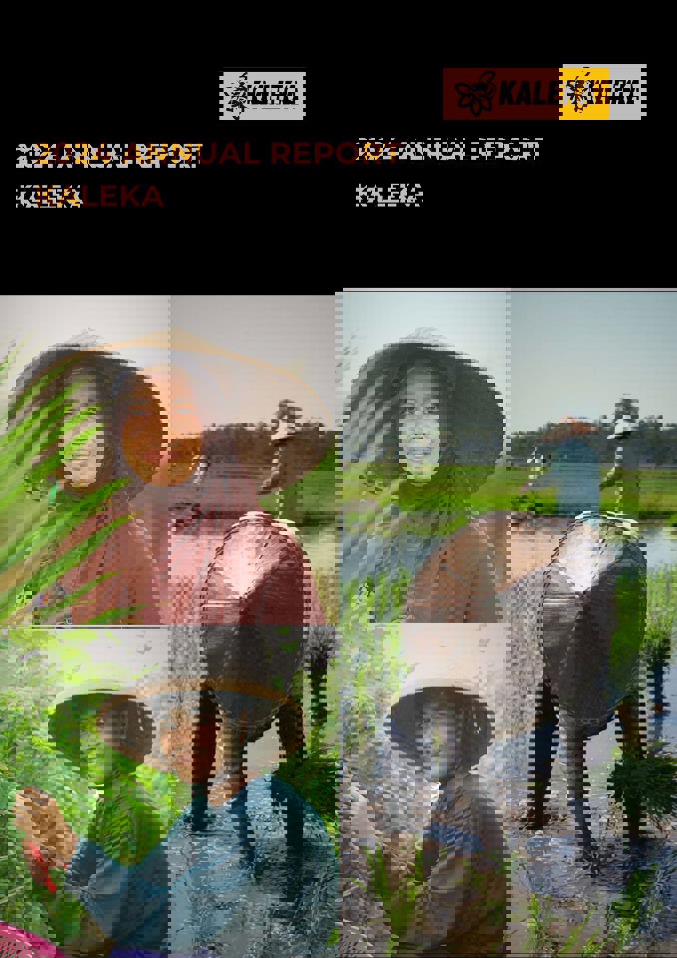 download file